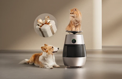 Pierwszy oczyszczacz powietrza, który naprawdę rozumie potrzeby domu ze zwierzętami – premiera Dreame AP10